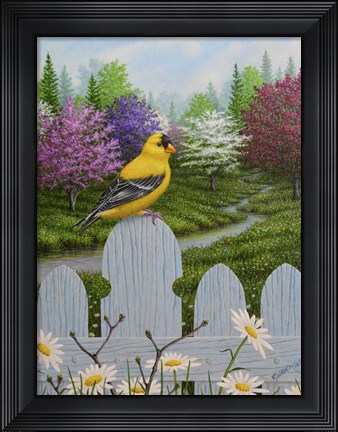Framed Goldfinch and Daisies Print