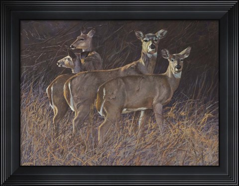 Framed Pack Print