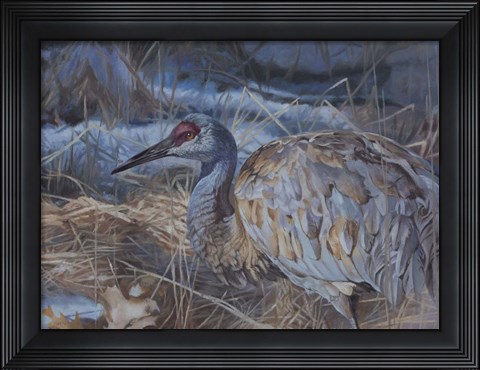 Framed Big Bird Print