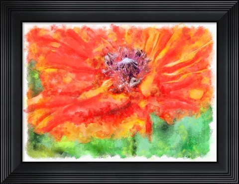 Framed Ms Poppy Print
