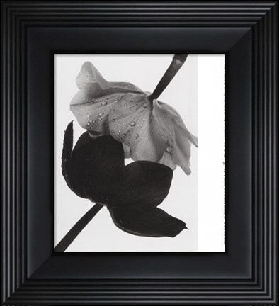 Framed Opposites Attract Print