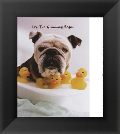 Framed Grooming Print