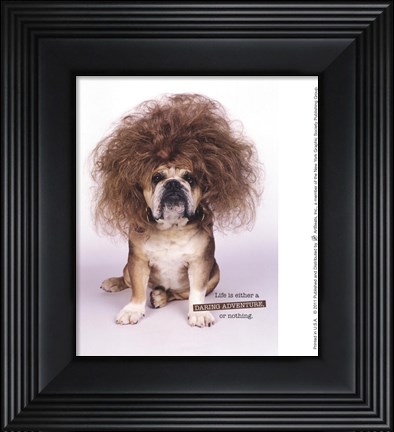 Framed Daring Adventure Print
