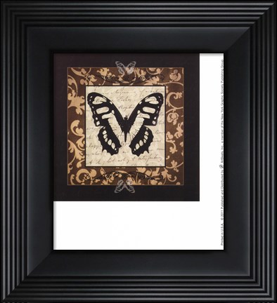 Framed Classical Butterfly II Print