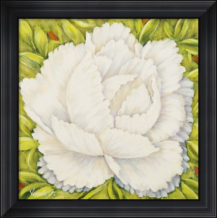 Framed White Peony Print