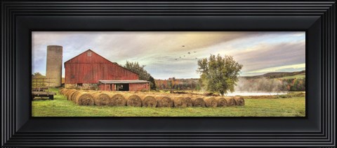 Framed Tioga Hay Bales Print