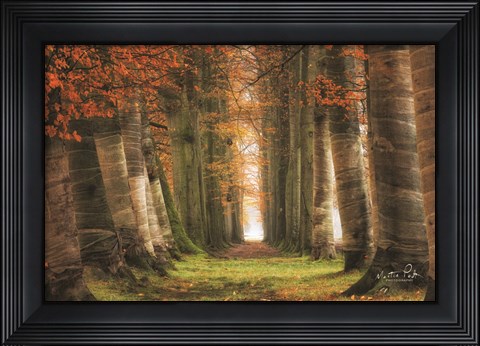 Framed Wrapped Print