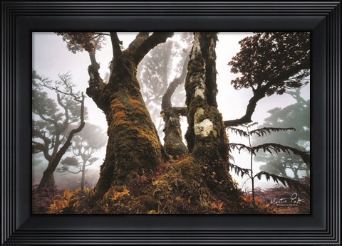 Framed Dark King Print