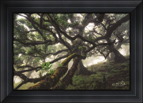 Framed Tentacles Print