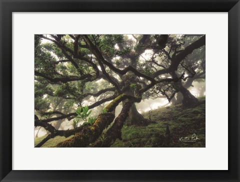 Framed Tentacles Print