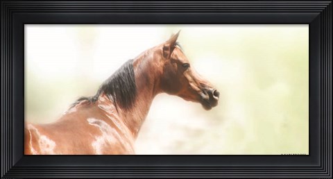 Framed Rose III Print
