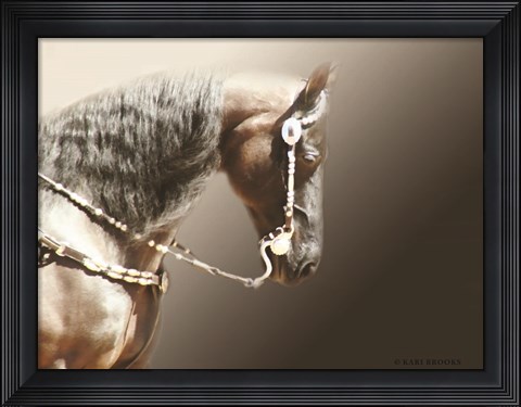 Framed Black &amp; Silver Print