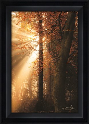 Framed Best of Autumn Print