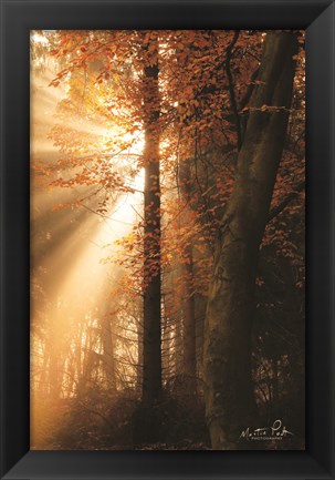 Framed Best of Autumn Print