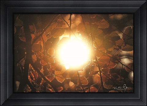 Framed Into the Sun Print