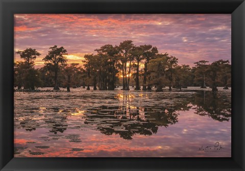 Framed Sundown in the Swamps Print