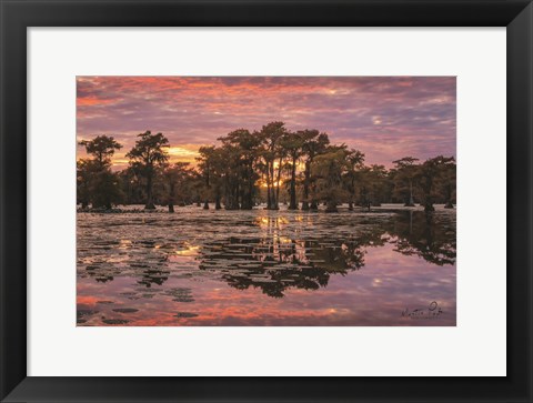 Framed Sundown in the Swamps Print