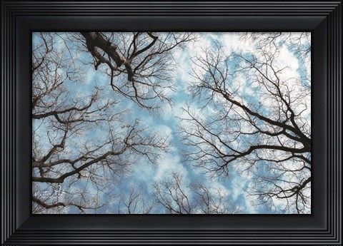 Framed Reaching for the Sky Print