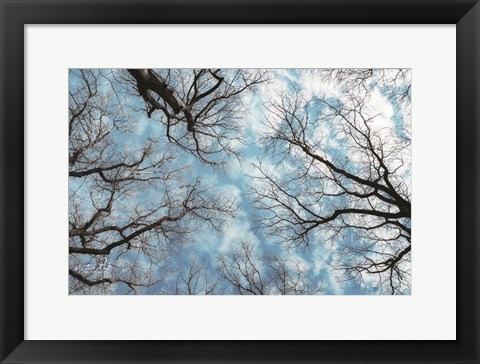 Framed Reaching for the Sky Print