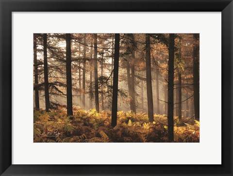 Framed Fern Forest Print