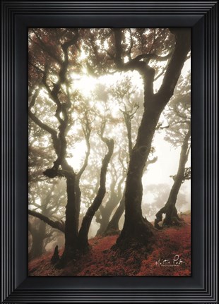 Framed Red Dreams Print