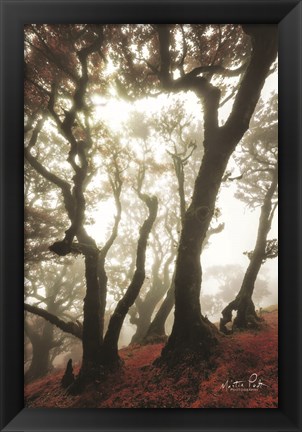 Framed Red Dreams Print