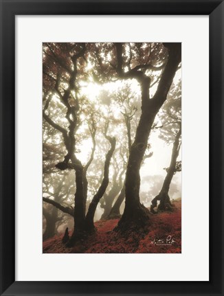 Framed Red Dreams Print