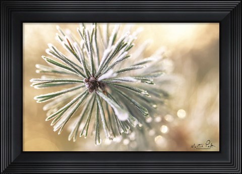 Framed Winter Details Print