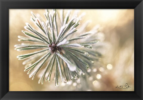 Framed Winter Details Print