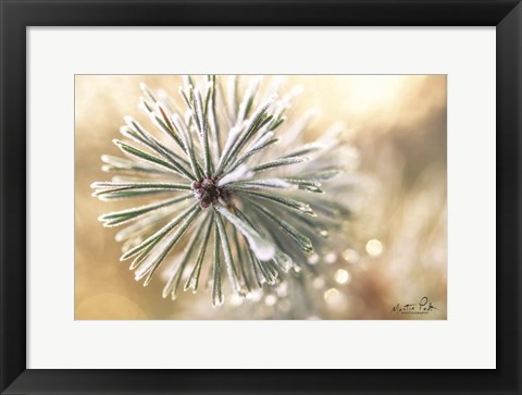 Framed Winter Details Print