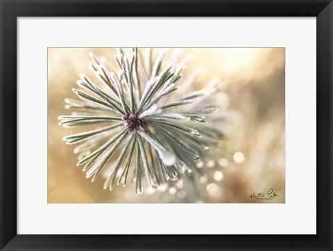 Framed Winter Details Print