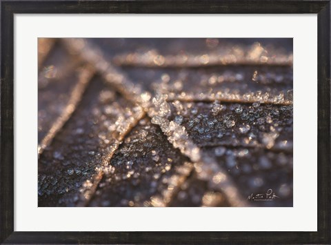 Framed Frozen Leaf Print
