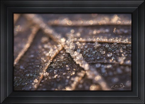 Framed Frozen Leaf Print