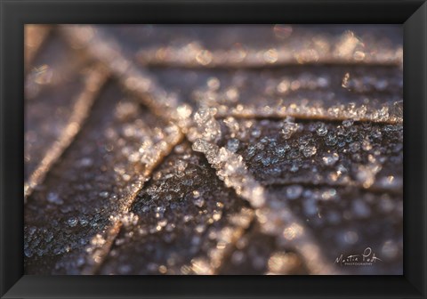 Framed Frozen Leaf Print