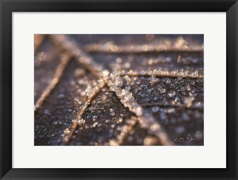 Framed Frozen Leaf Print