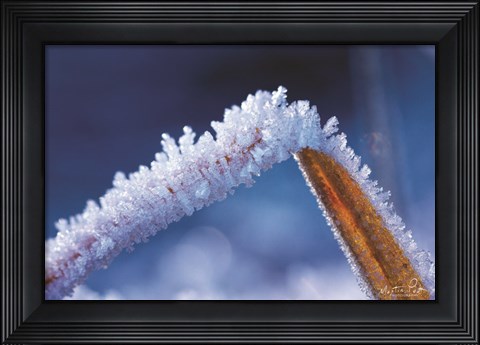 Framed Ice Cold Print