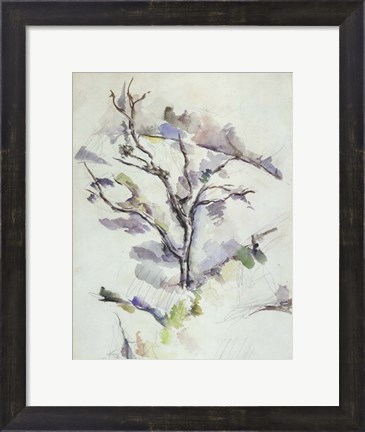Framed Oak Print