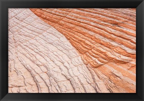 Framed Coyote Buttes VI Print