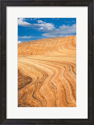 Framed Coyote Buttes V Print