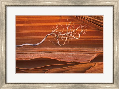 Framed Coyote Buttes III Print