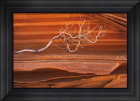 Framed Coyote Buttes III Print