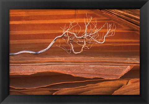 Framed Coyote Buttes III Print