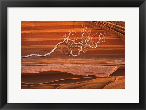 Framed Coyote Buttes III Print