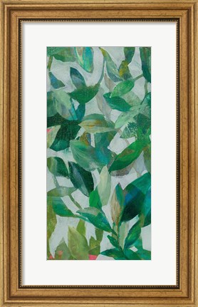 Framed Summer Garden Greenery II Print