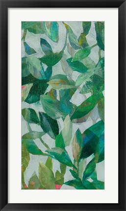 Framed Summer Garden Greenery II Print