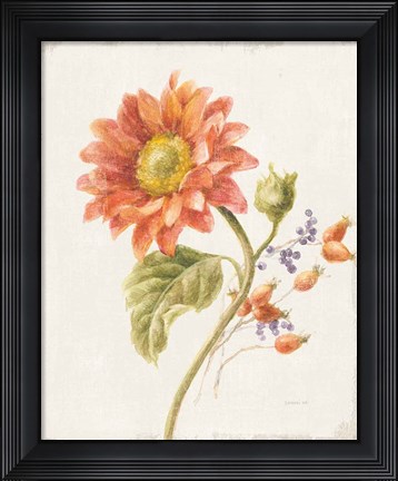 Framed Floursack Autumn II v2 Print