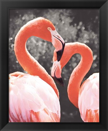 Framed Flamingo II on BW Print