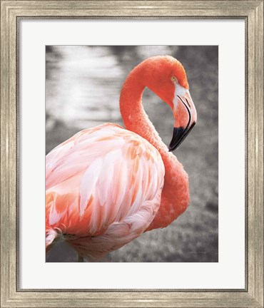 Framed Flamingo I on BW Print