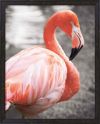 Framed Flamingo I on BW Print
