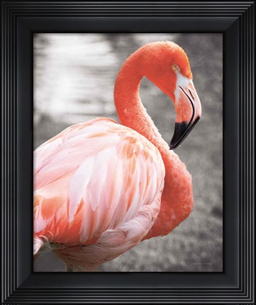 Framed Flamingo I on BW Print